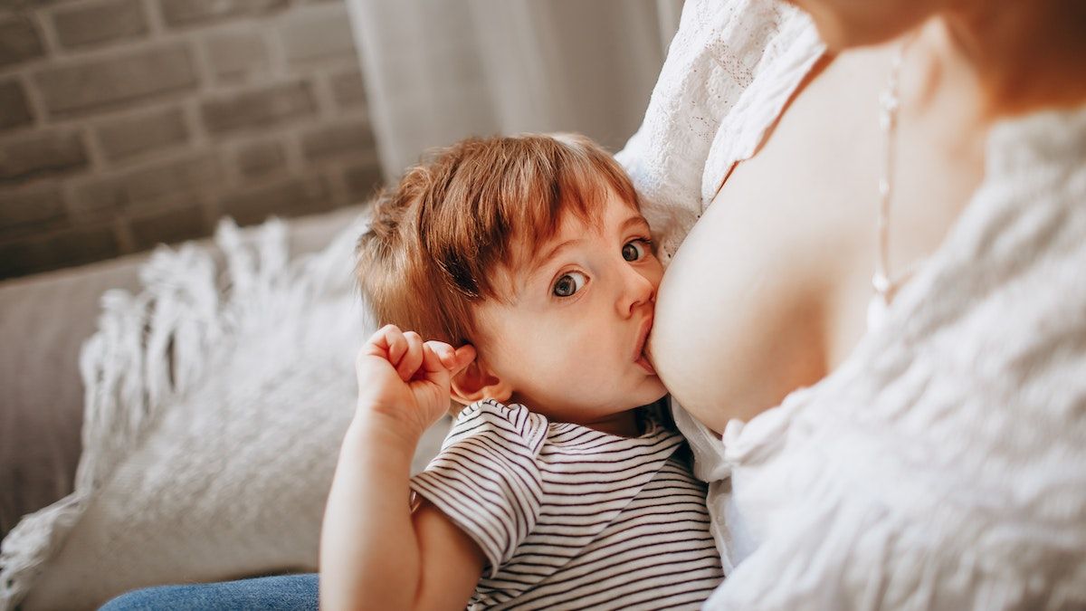 Откуда молоко берется в груди Откуда молоко берется в груди