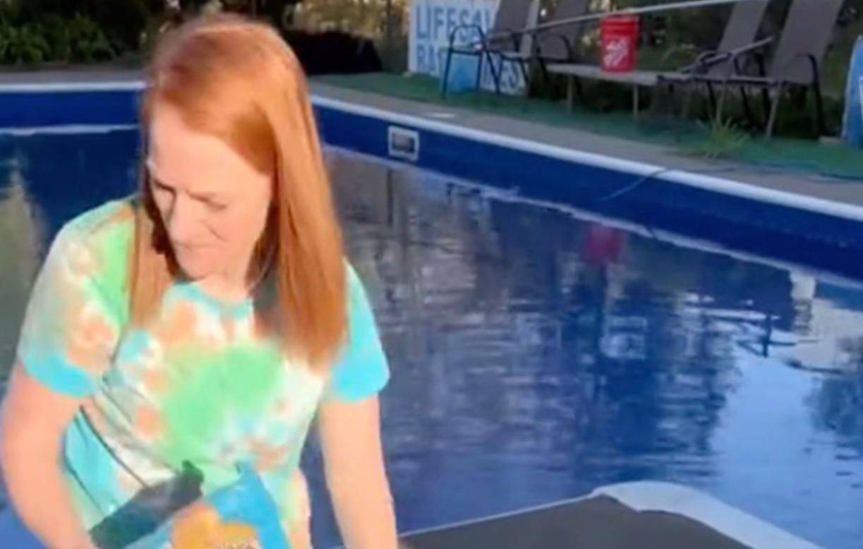 Мама нагодувала 12 дітей з басейну Мама нагодувала 12 дітей з басейну