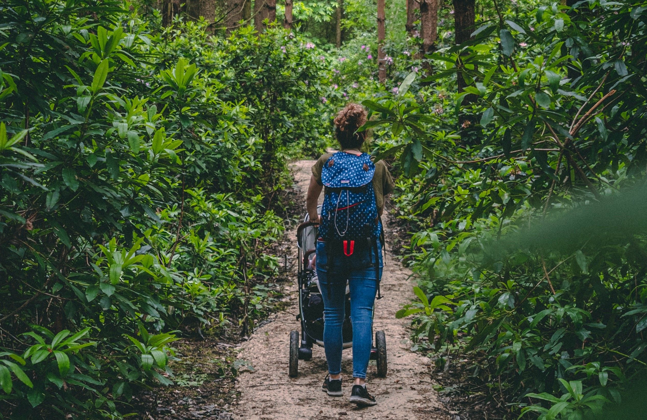 Дитяча коляска: поради Дитяча коляска: поради