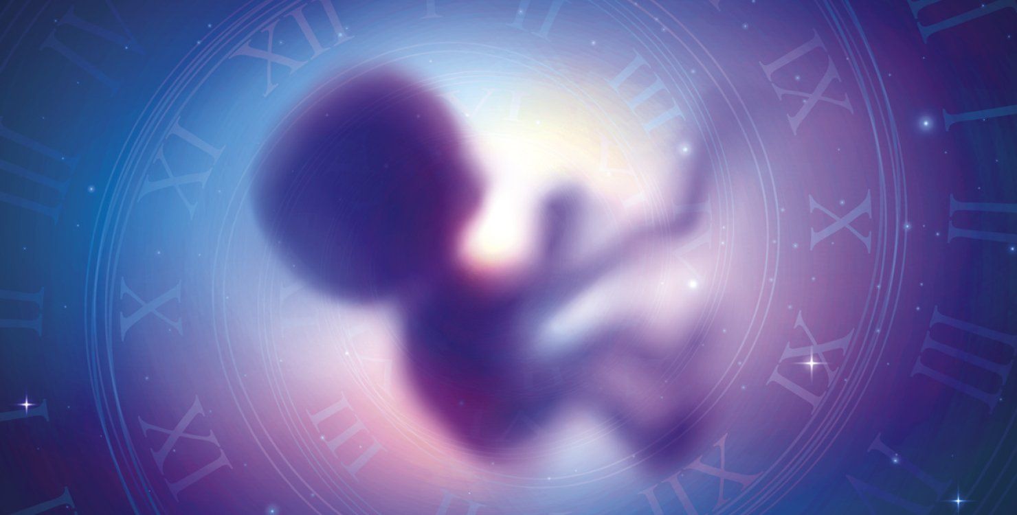 Ученые планируют зачатие в космосе