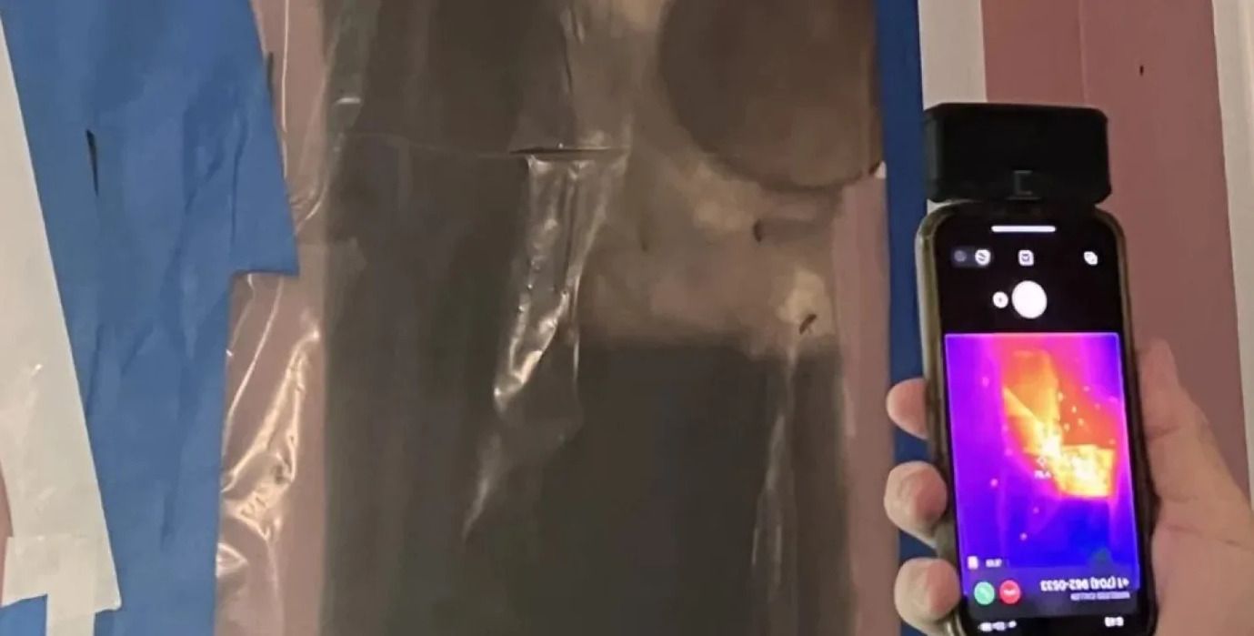 "Боялась монстра": девочка испугалась гула в стене - там жили десятки тысяч пчел - Baby "Боялась монстра": девочка испугалась гула в стене - там жили десятки тысяч пчел - Baby